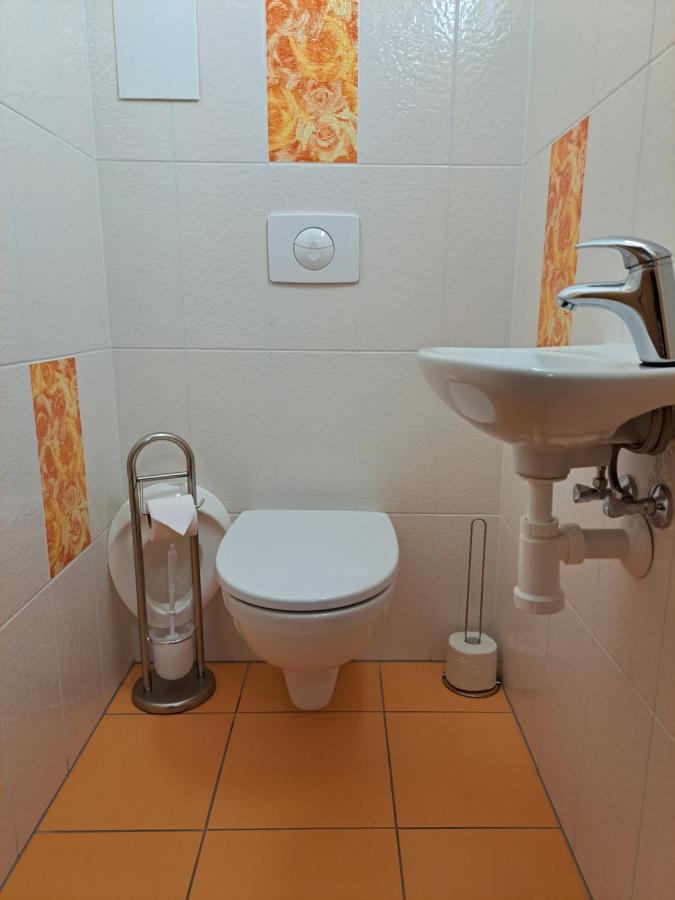 Apartman Max Lipno Lipno nad Vltavou Eksteriør billede