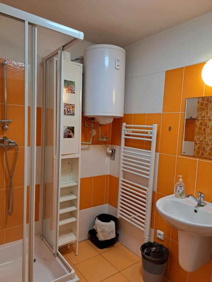 Apartman Max Lipno Lipno nad Vltavou Eksteriør billede